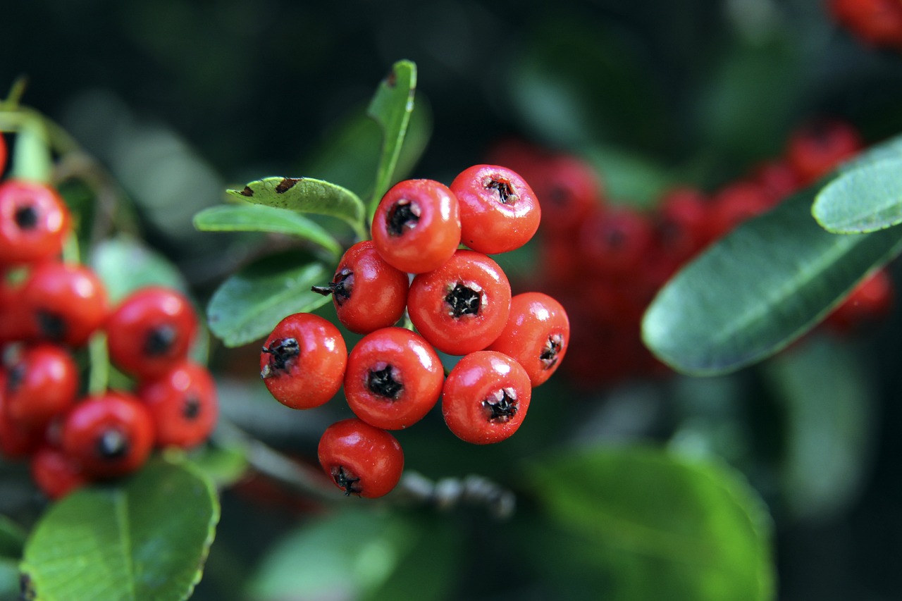 的艺术本领 的艺术本领