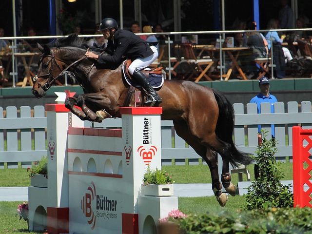 赛中占据优 赛中占据优