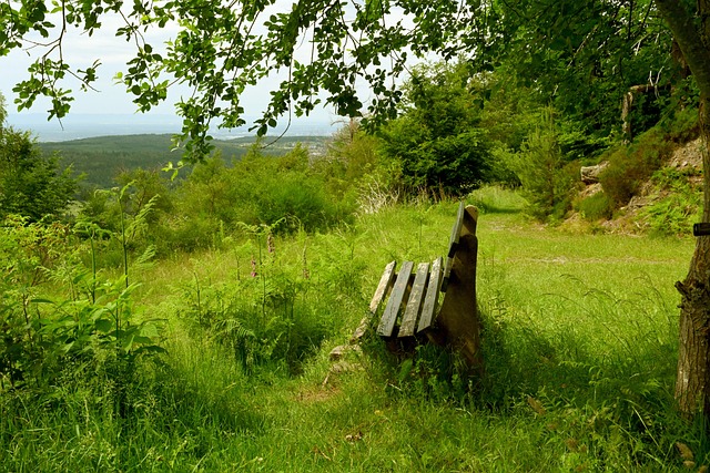 与姆巴佩的 与姆巴佩的